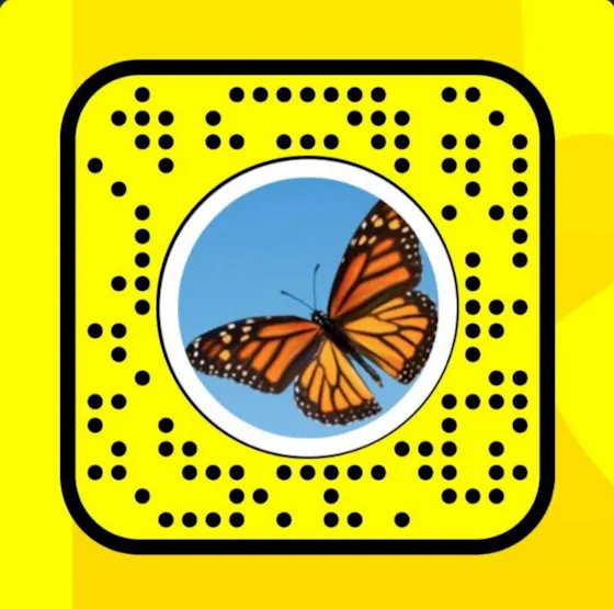 butterflies lens on Snapchat